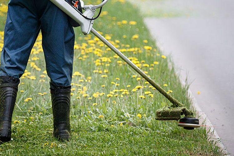 Gardening Services